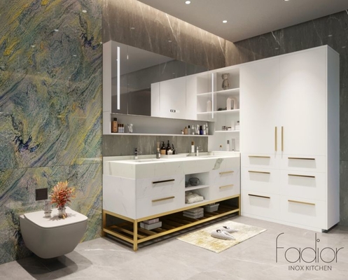 The Fadior Stainless Steel Bathroom Vanity Cabinet Modern Design With Gold Frame