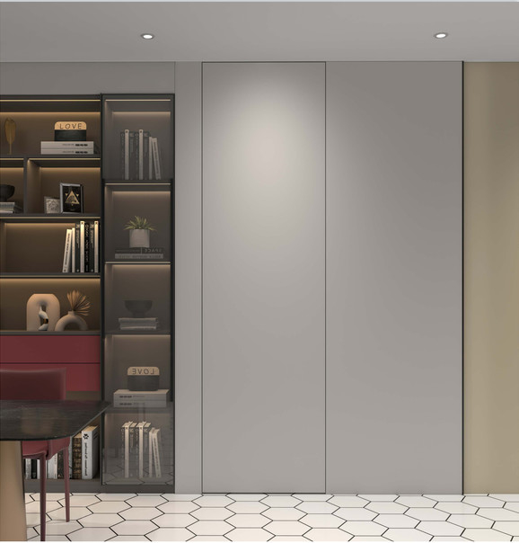Stainless Steel Concealed Interior Door Solution Contemporary